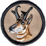 Embroidered colorful 2 inch round patch Pronghorn Antelope